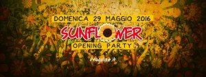 sunflower opening party firenze